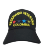 Gorra Veterano Sencilla y laureles - Image 2
